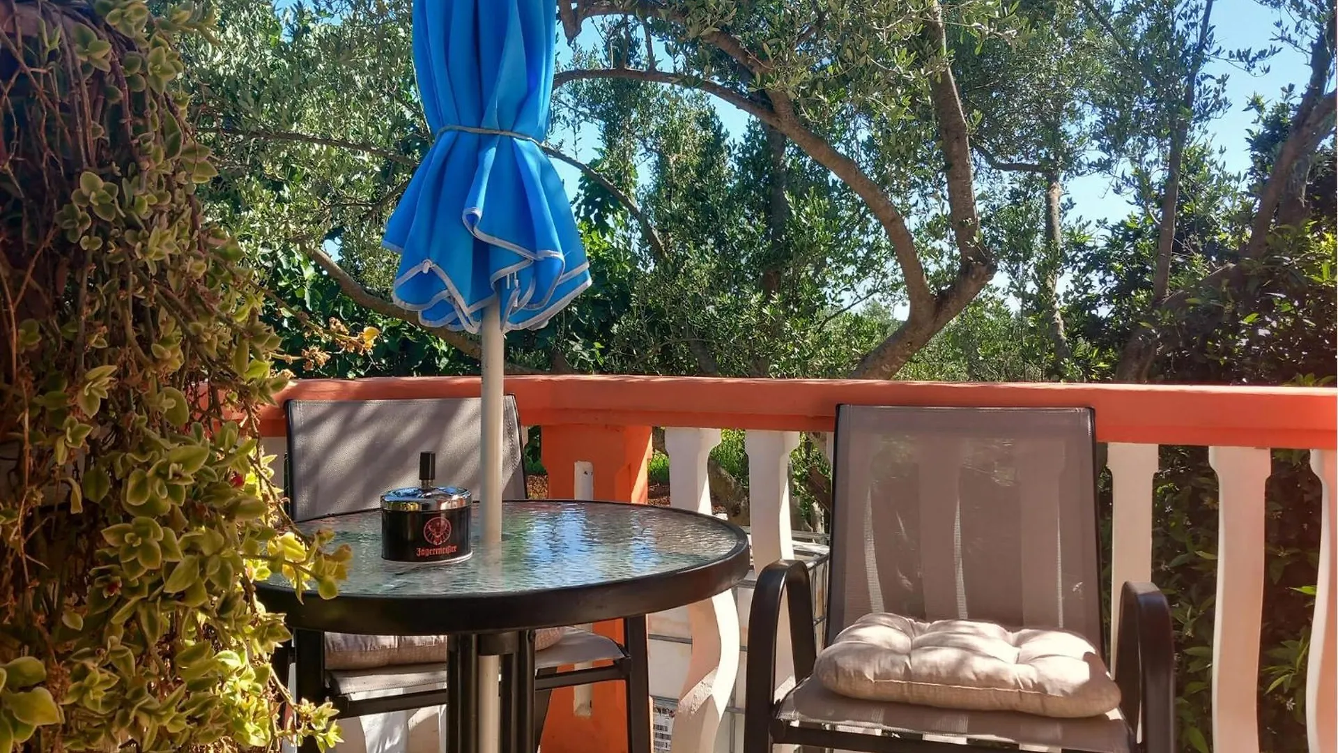 Holiday home Awesome Home In Bibinje With Kitchen